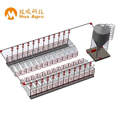 China Farms Hot Sale Pig Farm Equipment Automatic Feeding System For Pig House for sale