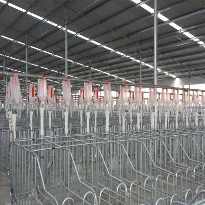 China Farms Pig House Design Pig Farm Equipment Customized Chain Feeding System for sale