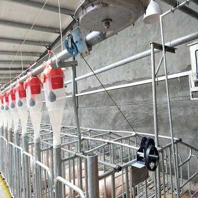 China Farms Pig Feeding Equipment Animal Fodder System Automatic Chain Feeding System for sale