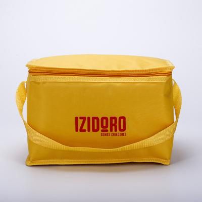 China 2022 waterproof large high quality eco-friendly nonwoven thermal insulate cooler bag for food for sale