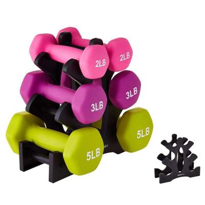 China Customsized Exercise Workout Dumbbell Bracket Triangle Small Leaves Big Sheets Sports & Entertainment (No Dumbbell) for sale