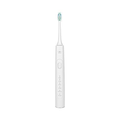 China New Shinerosy Adult Magnetic Cordless Inductive Fill Battery Operated Ultrasonic Electric Toothbrush IPX7 Waterproof 5 Oral Modes SR-OTBA68 for sale