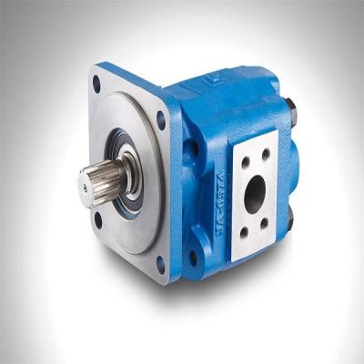 China HYDRAULIC Cassapa hydraulic gear pump for sale