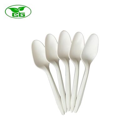 China Factory direct coffee plastic soup spoons eco-friendly 145mm compostable wholesale disposable spoon for sale