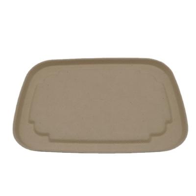 China Degradable Color Safe Healthy Custom Disposable Dinner Dish Lunch Box Lid for sale