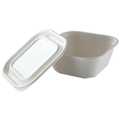 China Bento Bagasse Lunch Box For Dinner Plate Eco Friendly Degradable Kids for sale