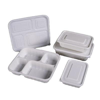 China Modern Multi-size Disposable Compostable Lunch Box Set Pla Biodegradable Meal Box Packaging Utensils Makers for sale