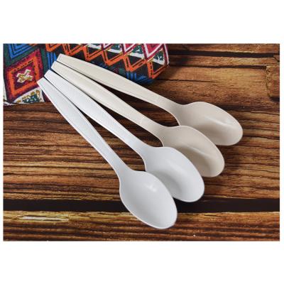 China Heaven and Earth Temperature Resistance Water Resistant Compostable Disposable Cutlery Biodegradable Bulk Spoon For Price for sale