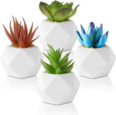 China Minimalist Mini Succulents Set of 4 Plants in Ceramic Pots for sale