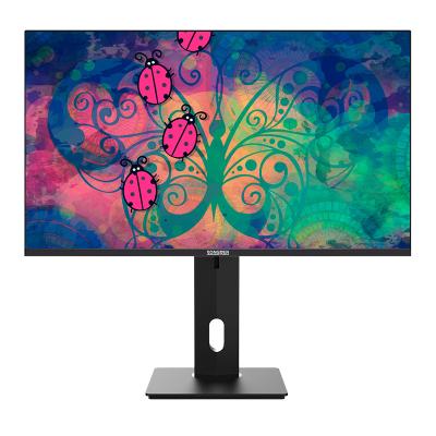 China China Guangdong Foshan Songren New 2K IPS LED PC Wholesale QHD 27Inch Cheapest Non Curved Computer 75Hz Desktop Monitor Low Price for sale