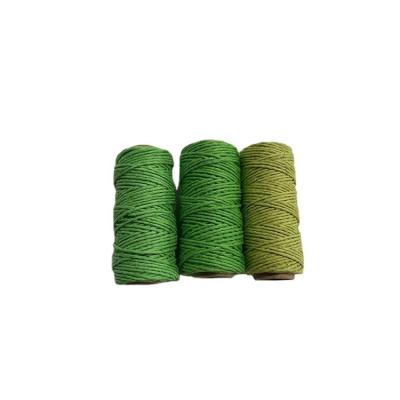 China Other China Factory Direct Good Quality Hemp Braided Yarn for sale