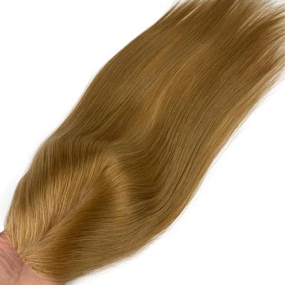 China Silky Straight Wave Honey Blonde Brown Virgin Cuticle Aligned Hair Products HD Lace Closure Pre Plucked 4X4 Lace Closure Silk Low Hair for sale