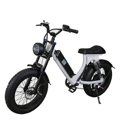 China High Quality New 20 Inch China Aluminum Alloy Fat Tire 48v 750w Fat Electric Bike Ebike For Adults for sale