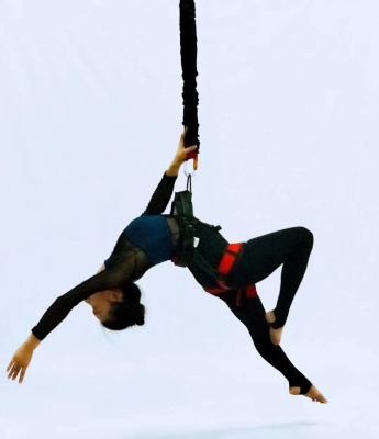 China aerial yoga kit bungee cord bungee jumping cord for sale bungee cord resistance training for sale