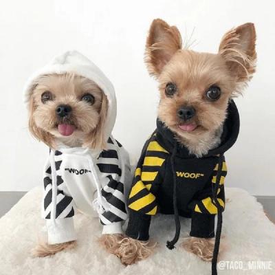 China Viable Luxury Designer Winter Boy Girl Small Dog Shapes Winter Pet Clothes Dog Sports Hoodie for sale