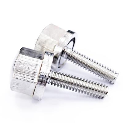 China Hexagon High Quality Anti-corrosion Large Head Stainless Steel Screw Thread Customized Left Hand Machine Screw for sale