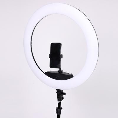 China 22 Inch PORTABLE Selfie Led Video Ring Light Beauty Studio Photo Circle Lamp With Tripod Stand for sale