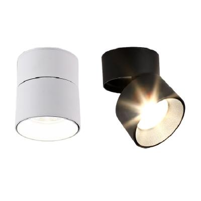 China Dimmable Black White Round COB Adjustable Spot Light 10W 20W 30W LED Spot Light 10W 20W 30W Outdoor Mounted Cylinder Downlight for sale