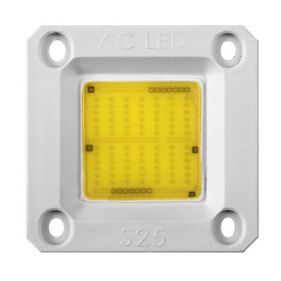 China 50w Chips Driverless Ceramic Substrate 220v AC COB Led COB Led Light 30*40 mm for sale