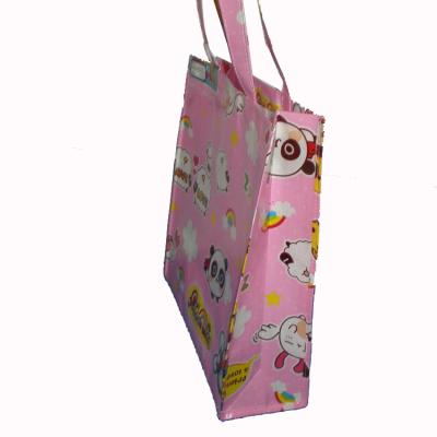 China Professional high quality plastic laminated pp woven bag from China manufacture BIODEGRADABLE for sale