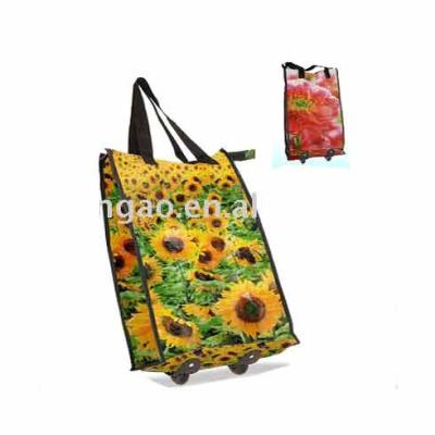 China Folding Customize PP Woven Reusable Eco Friendly Promotional Laminated Trolley Bag for sale