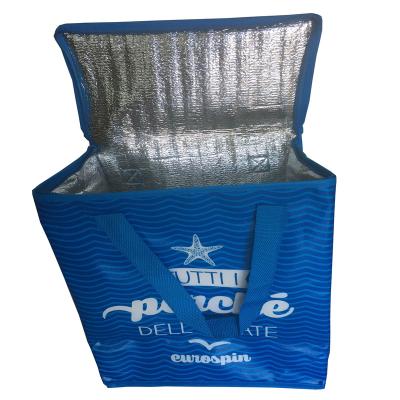 China Waterproof Economic Custom Design PP Woven Thermal Bag for sale