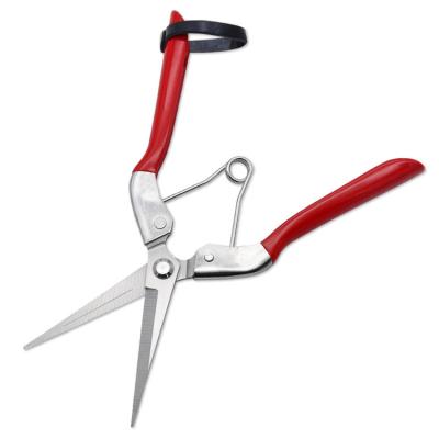 China Anti-Slip Grip Handle Pruner Shear Indoor And Outdoor Garden Pruning Cutting Curved Blade Trimming Scissors for sale