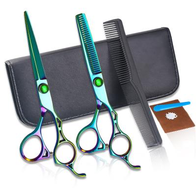 China Embroidery Japan 4cr Hair Scissors Cut Hair Cutting Salon Scissors Barber Shears Hairdressing Thinning Scissors for sale