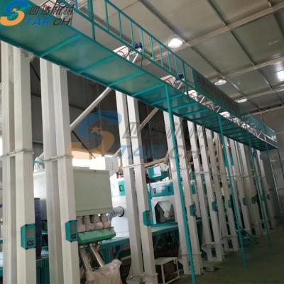 China Rice Processing Industry 2-3Tons Per Hour Full Time Rice Processing Machine Rice Mill Price for sale