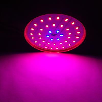 China Hydroponic Growing FLOWER Full Spectrum For Indoor Plants Lamp Bar Grow Light Bulb Waterproof UFO Induction Led Grow Light for sale