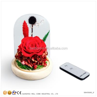 China Natural touch preserved flowers in real natural red preserved roses in glass dome for sale