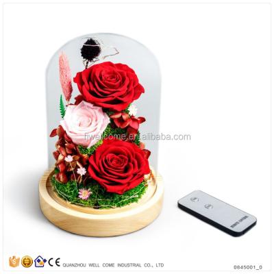 China Best Natural Touch Valentine Gift Red Rose Flower Preserved Fresh Flower for sale