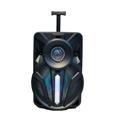 China Portable karaoke speaker wireless withoutdoor LED flashing light pull 12INCH lightweight speaker MIC for sale