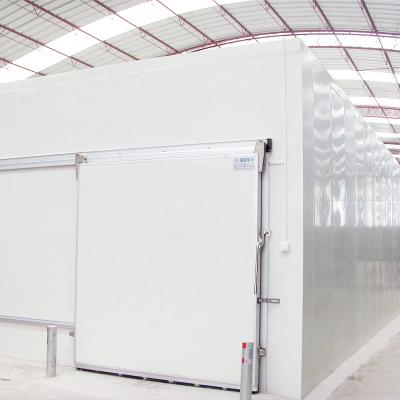 China Container Meat Seafood Fish Beef Chicken Supermarket Freezer Walk In Freezer Farmhouse Cold Room Blast Freezer Cold Room for sale