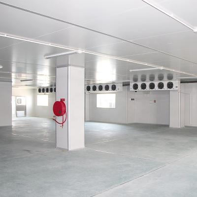 China Double-temperature commercial deep freezer cold room for meat storage for sale