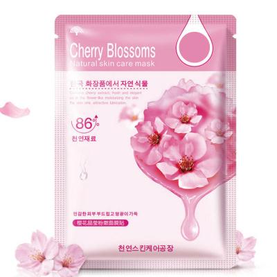 China Natural Organic Aloe Vera Salicylic Face Mask Vegan Skin Care Cosmetics Vitamic C Moisturizer Blueberry Custom Face Mask Korean Private Label for sale