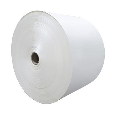 China Factory Supplier High Quality Glossy 2/s Biodegradable PE Coated Paper Roll Paper Blanks For Making Paper Cups for sale