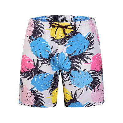 China 2019 New Design Mens Viable Hawaiian Shorts Digital Printing Summer Pants Beach Shorts N45-4 for sale