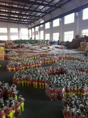 Verified China supplier - Shijiazhuang Saitu Trade Co., Ltd.