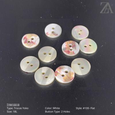 China #100 - Flat Wholesale High Quality Garment Clothes Coconut Abalone 2 Hole Flat Shell Buttons for sale