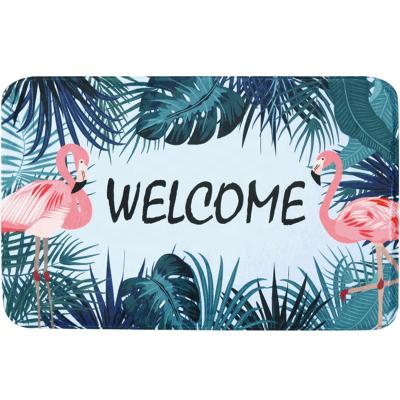 China Flamingo Factory Printed Kitchen Bathroom Blanket Washable Waterproof Non-slip Environmental Friendly Carpet for sale