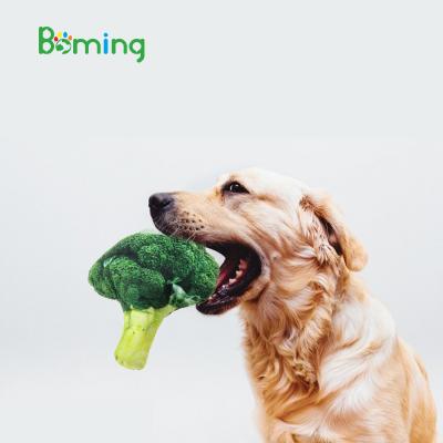 China 2021 Sustainable New Style Cat Dog Training Plush Toy Relax Deviation Vegetable Fruit Pet Toys Broccoli for sale