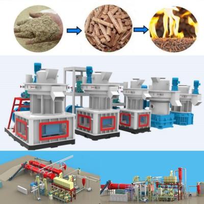 중국 1-5 Ton Per Hour Rice Husk Pellet Plant Biomass Pellet Manufacturing Plant 판매용