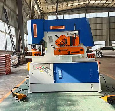 China Hotels China Manufacturer Q35Y-25 Hydraulic combined and shearing machine for sale