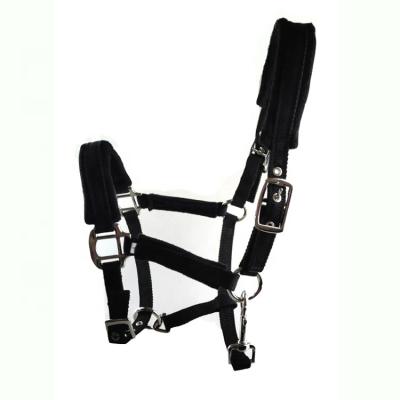 China Horse Riding PP Cloth Belt Horse Bridle With PP Cotton Coating for sale