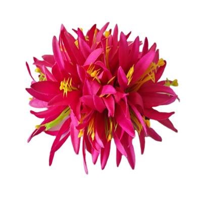 China Festival Performance Decoration Factory Supplier CH0317A-2 5 Colors 18cm Velvet Artificial Spider Lily Hair Clip Decoration Hawaii Women Flower Hair Claw for sale