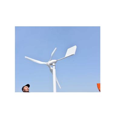 China Boland fast delivery100w wind power system--1000w home wind turbine for sale