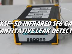 ZXSF-5D Infrared SF6 Gas Quantitative Leak Dete