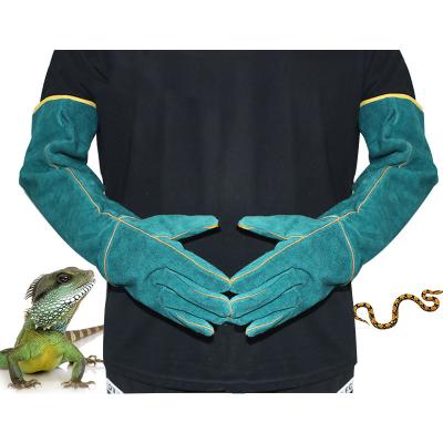 China Amazonom Hot Selling Anti-Slip Long Sleeve Anti-bite Gloves Snake Lizard Animals Bite Gloves for sale