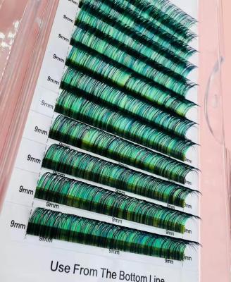 China Natural Eyelash Extensions Color Private Volume Whips Eyelash Individual Color Silk Eyelash Extensions for sale